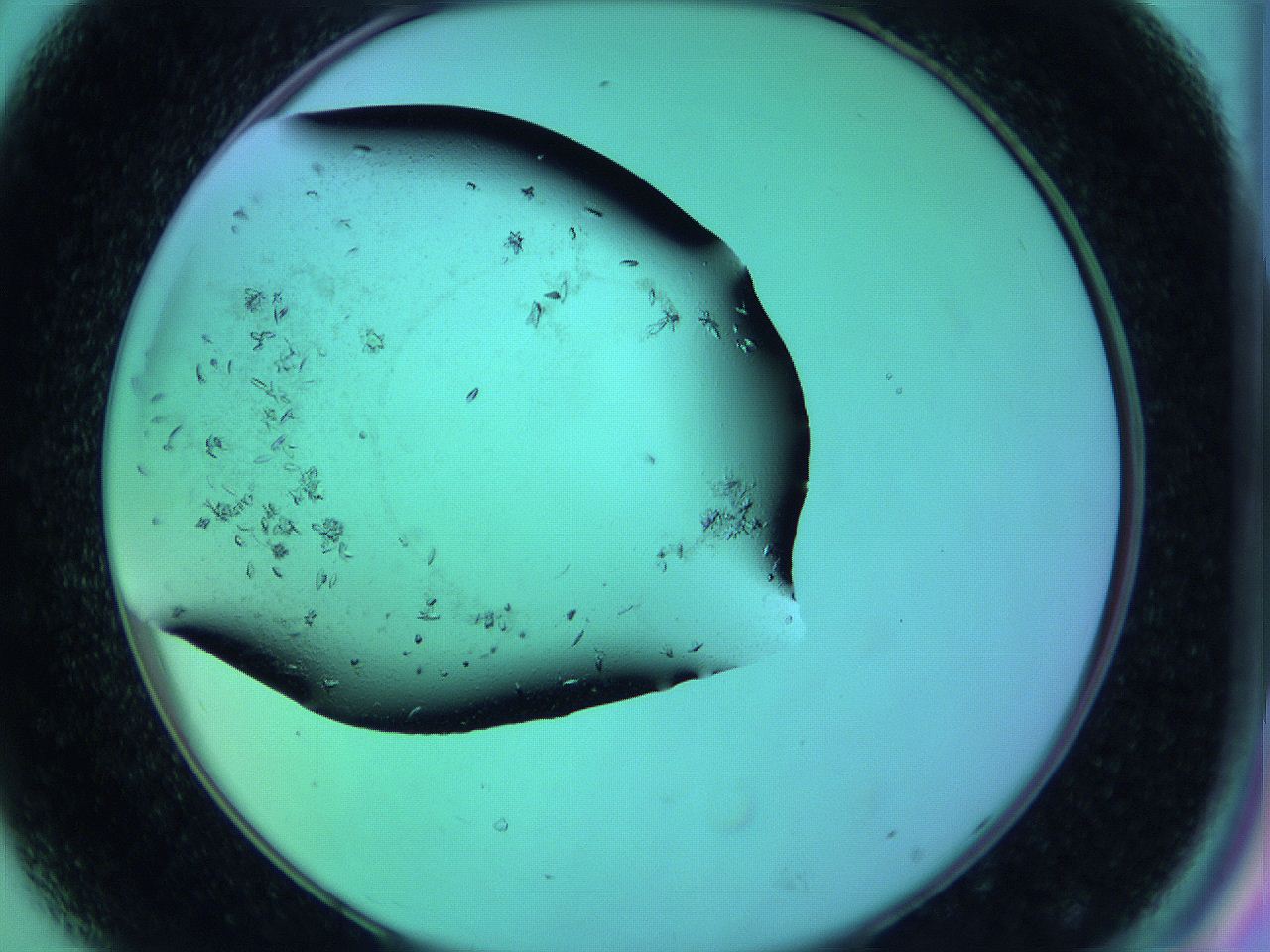 063y_D8_ImagerDefaults_9.jpg
