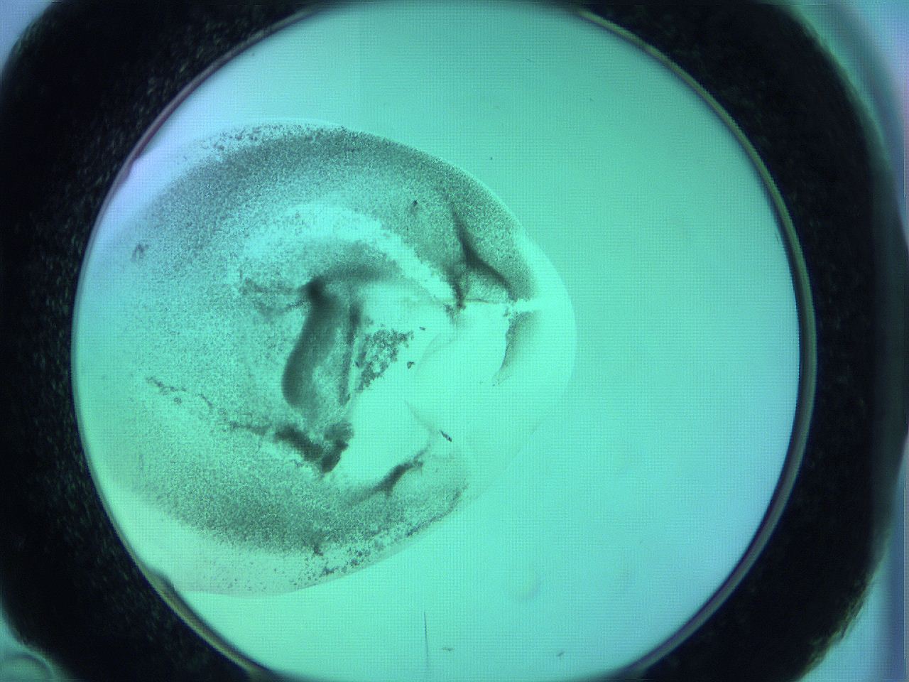063y_D10_ImagerDefaults_3.jpg