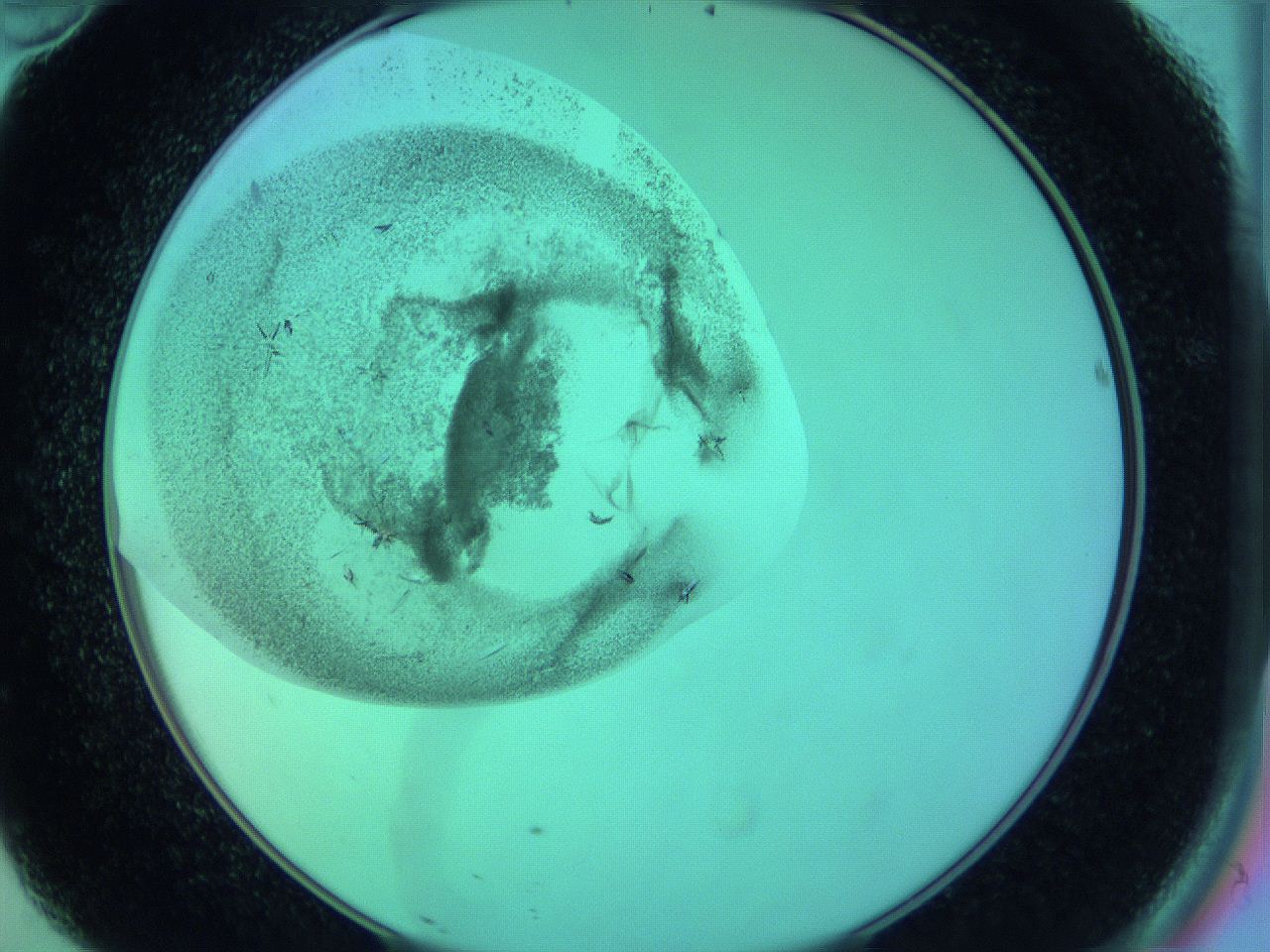 063y_D10_ImagerDefaults_9.jpg