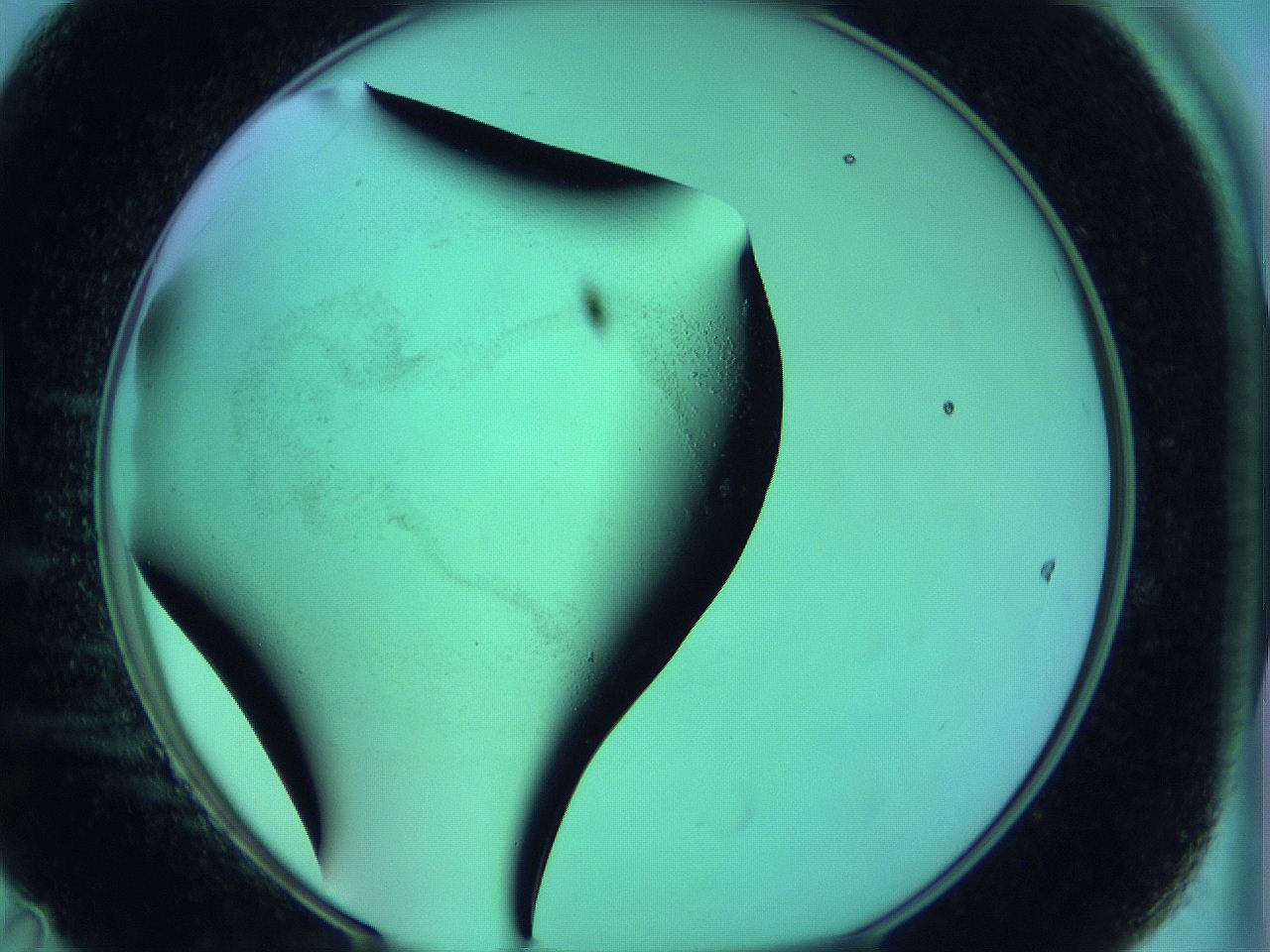 063y_D11_ImagerDefaults_3.jpg
