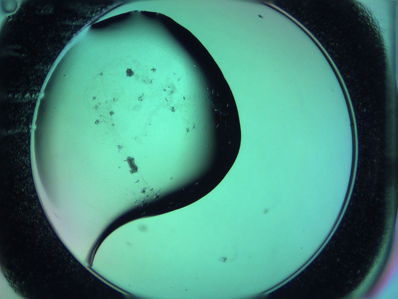 063y_D11_ImagerDefaults_9.jpg