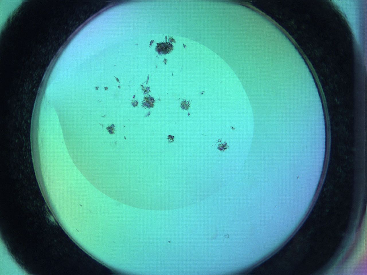 063y_E5_ImagerDefaults_9.jpg