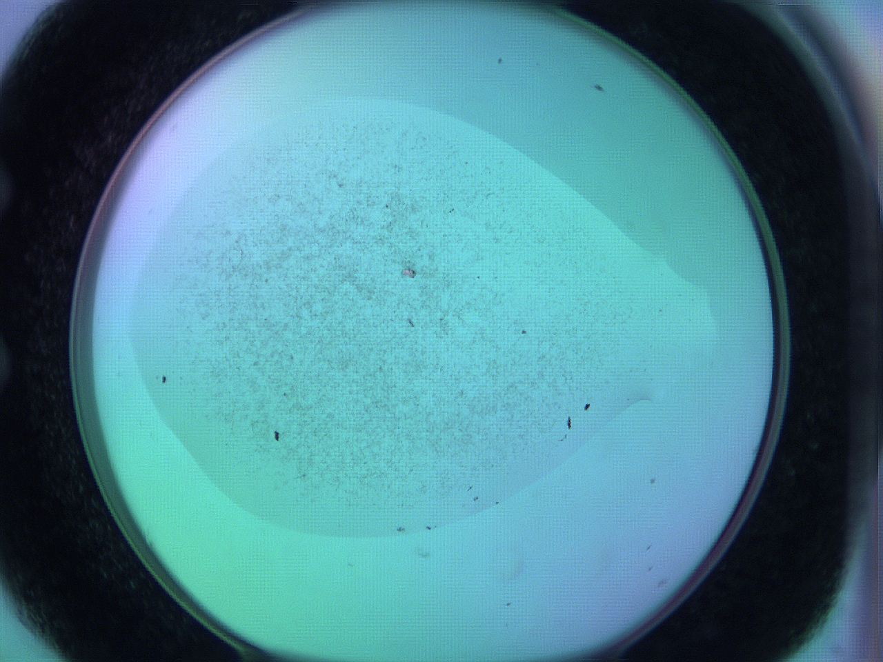 063y_E6_ImagerDefaults_3.jpg