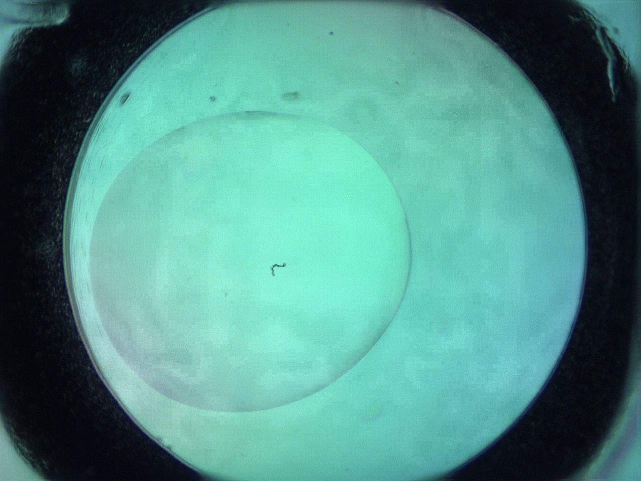 063y_A12_ImagerDefaults_0.jpg