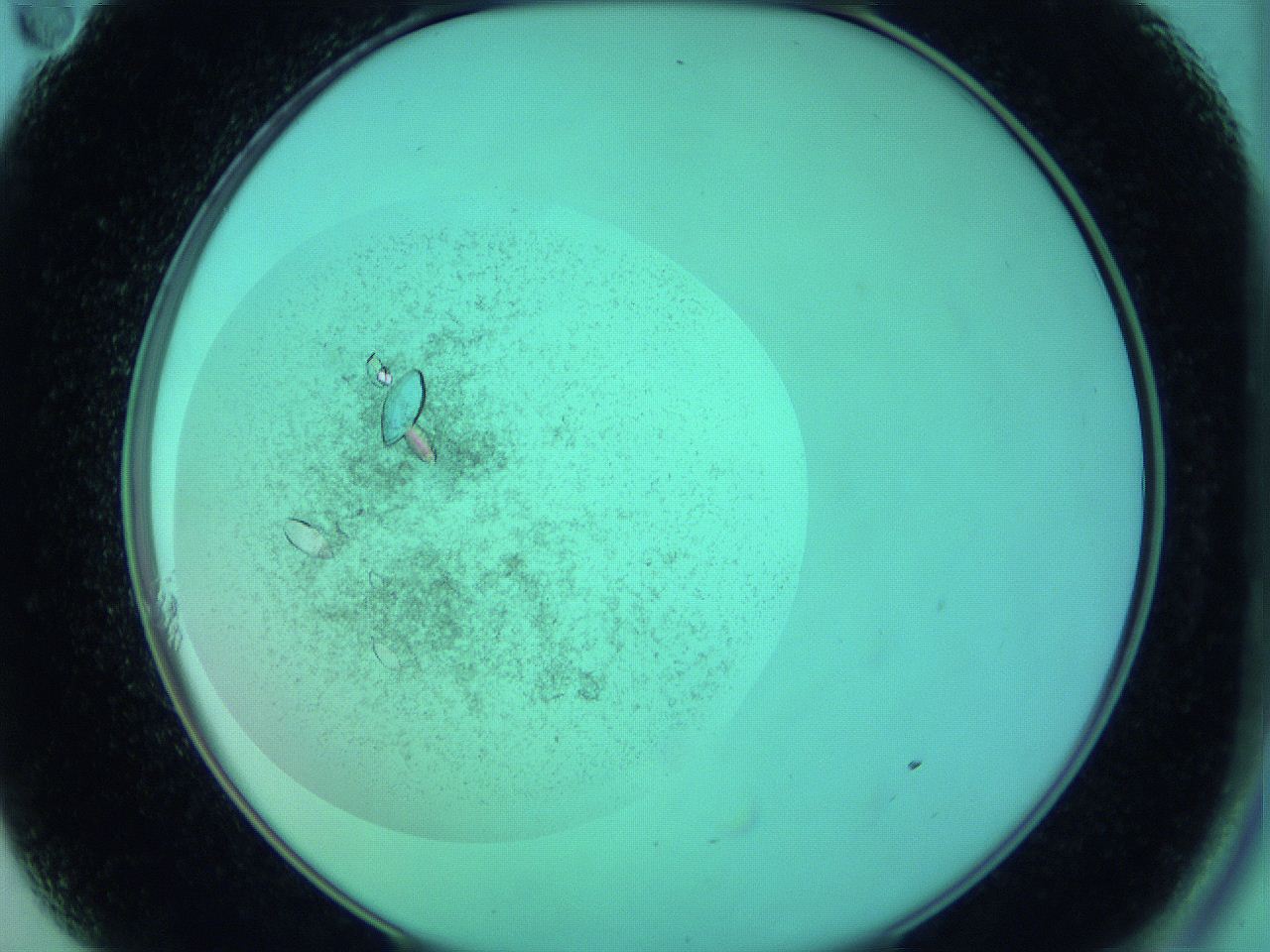 063y_A11_ImagerDefaults_9.jpg