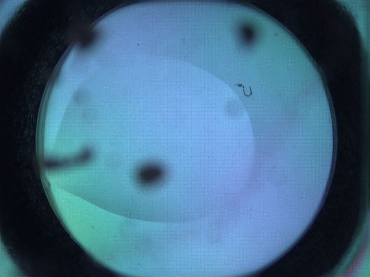 063y_A5_ImagerDefaults_0.jpg