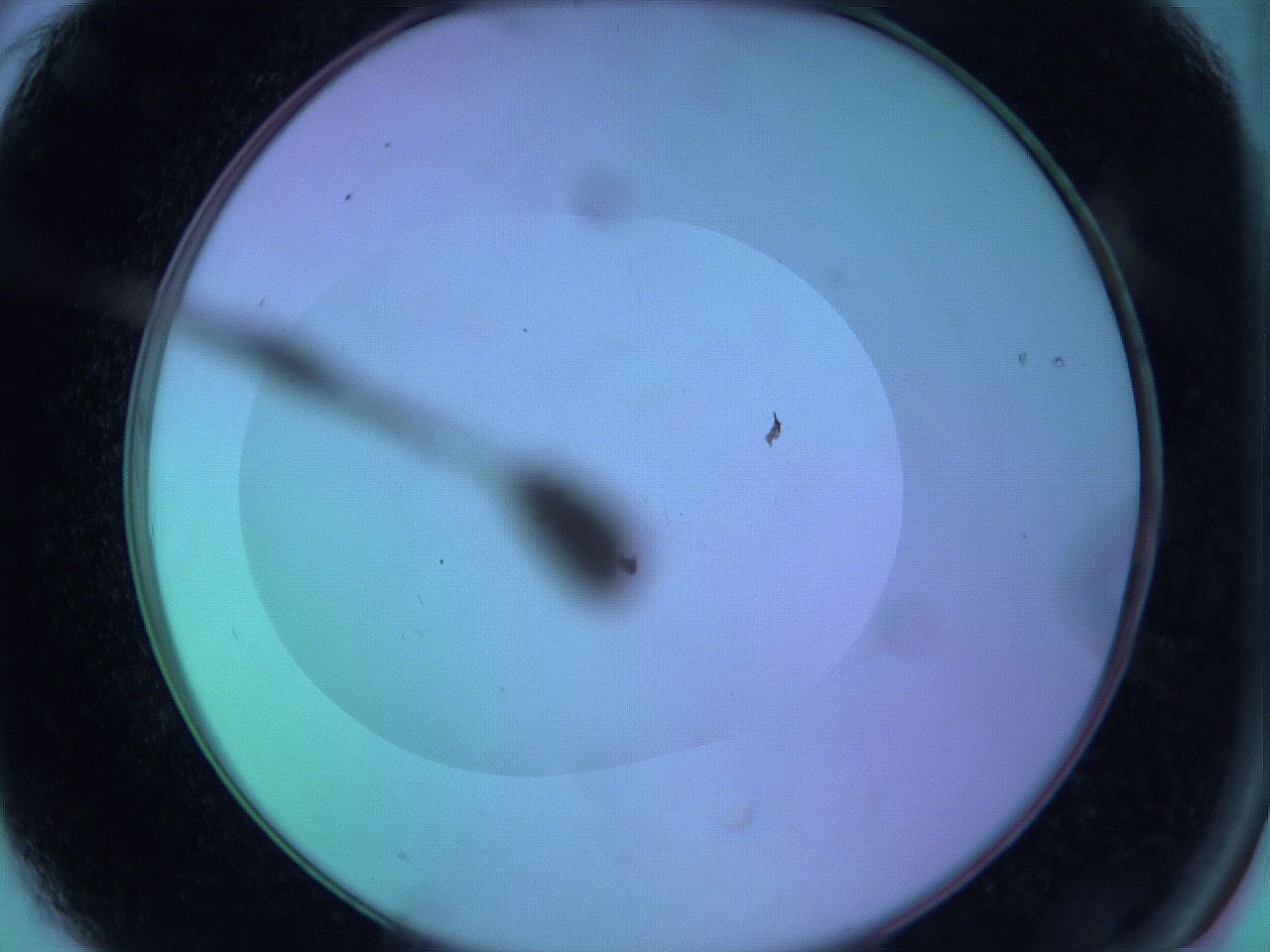 063y_A3_ImagerDefaults_0.jpg