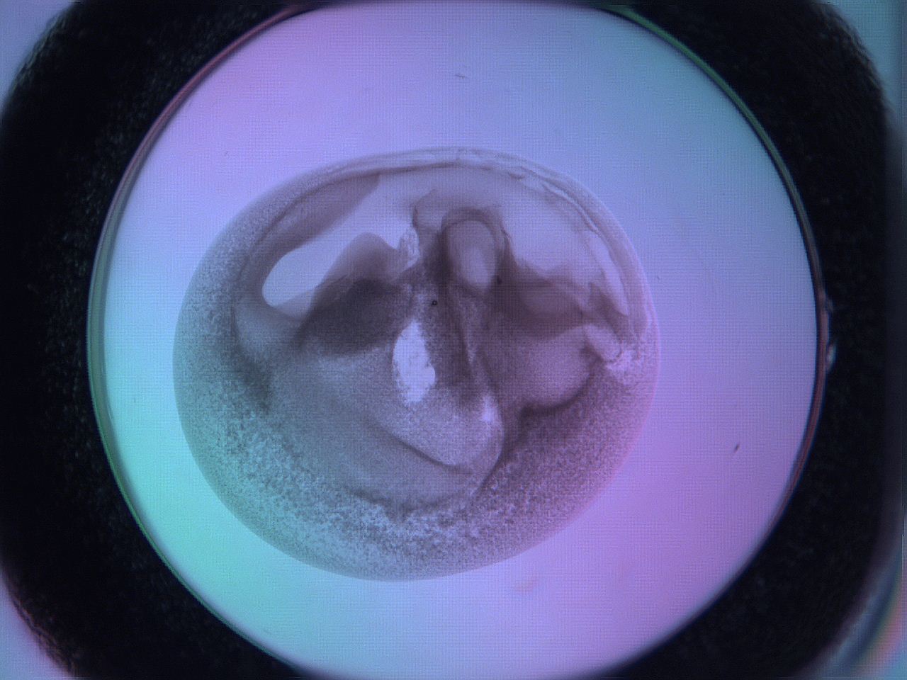 063y_A1_ImagerDefaults_3.jpg
