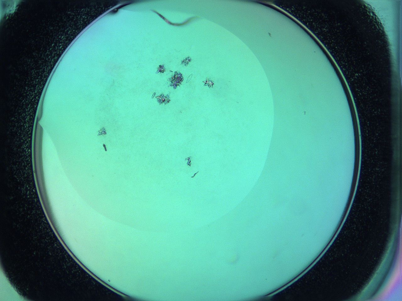 063y_E11_ImagerDefaults_9.jpg