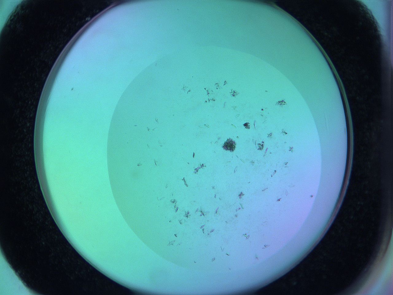 063y_F2_ImagerDefaults_9.jpg