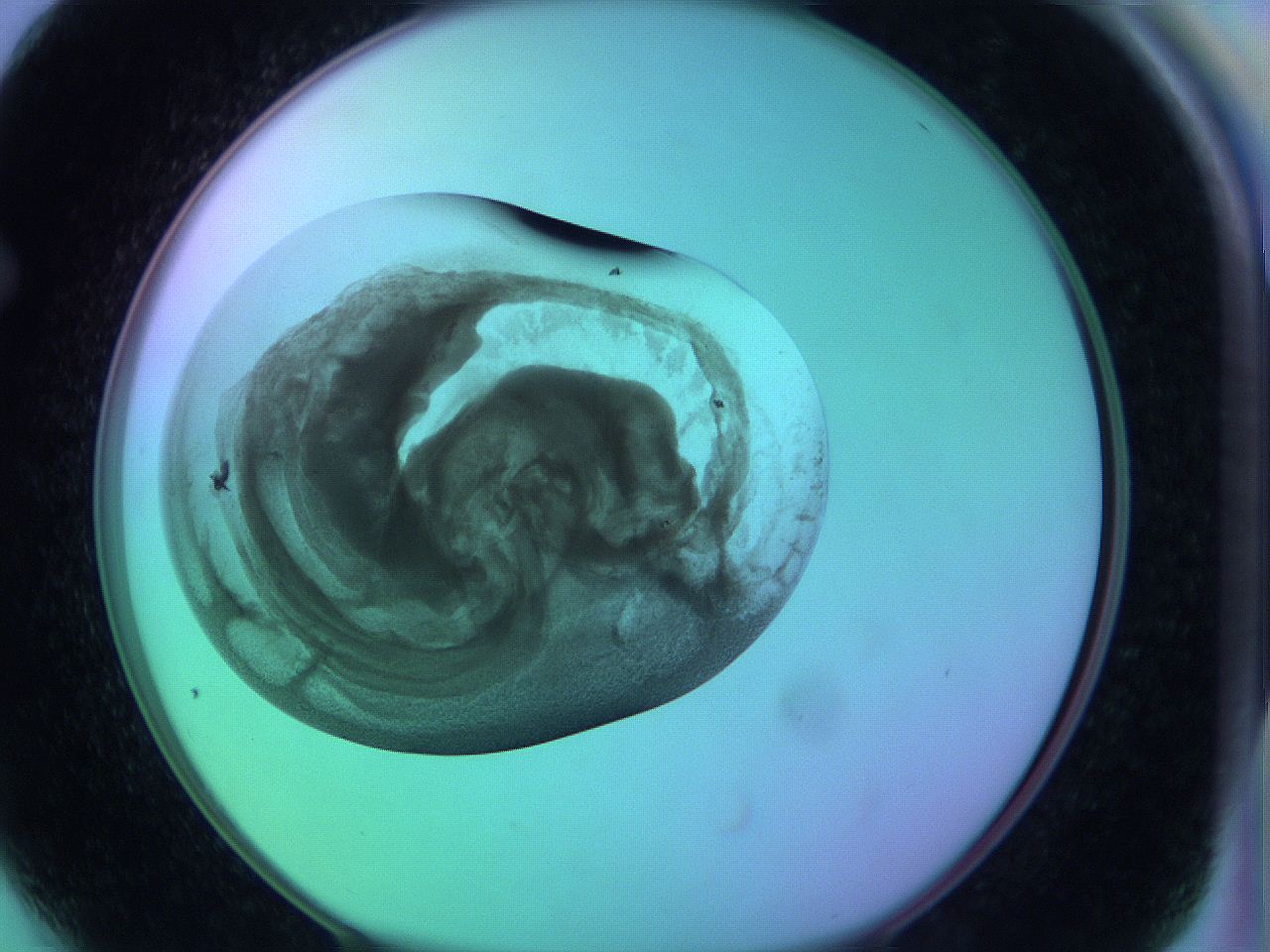 063y_F4_ImagerDefaults_3.jpg