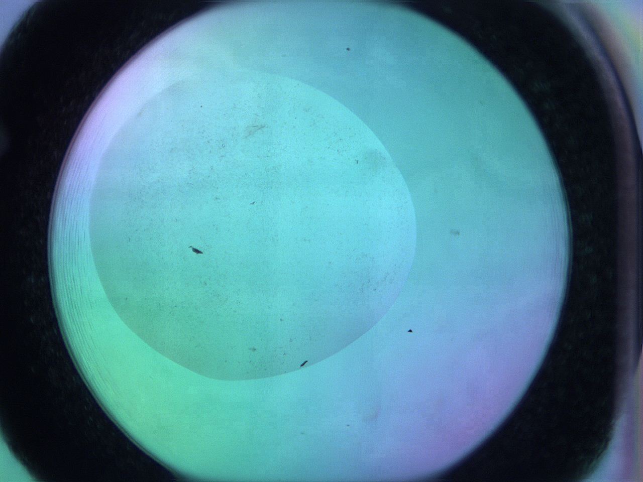 063y_F5_ImagerDefaults_0.jpg