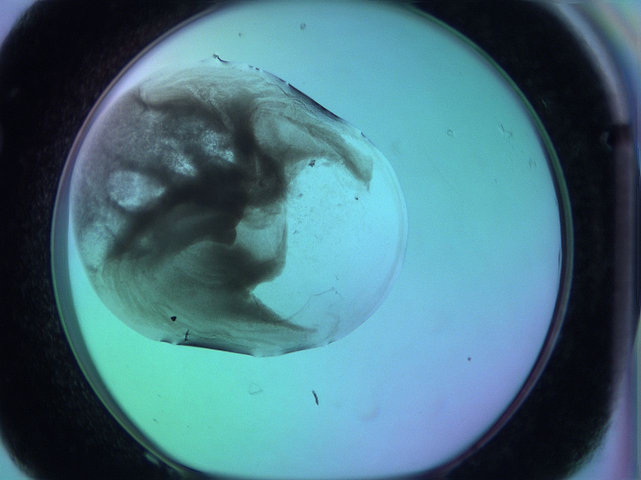 063y_F8_ImagerDefaults_3.jpg