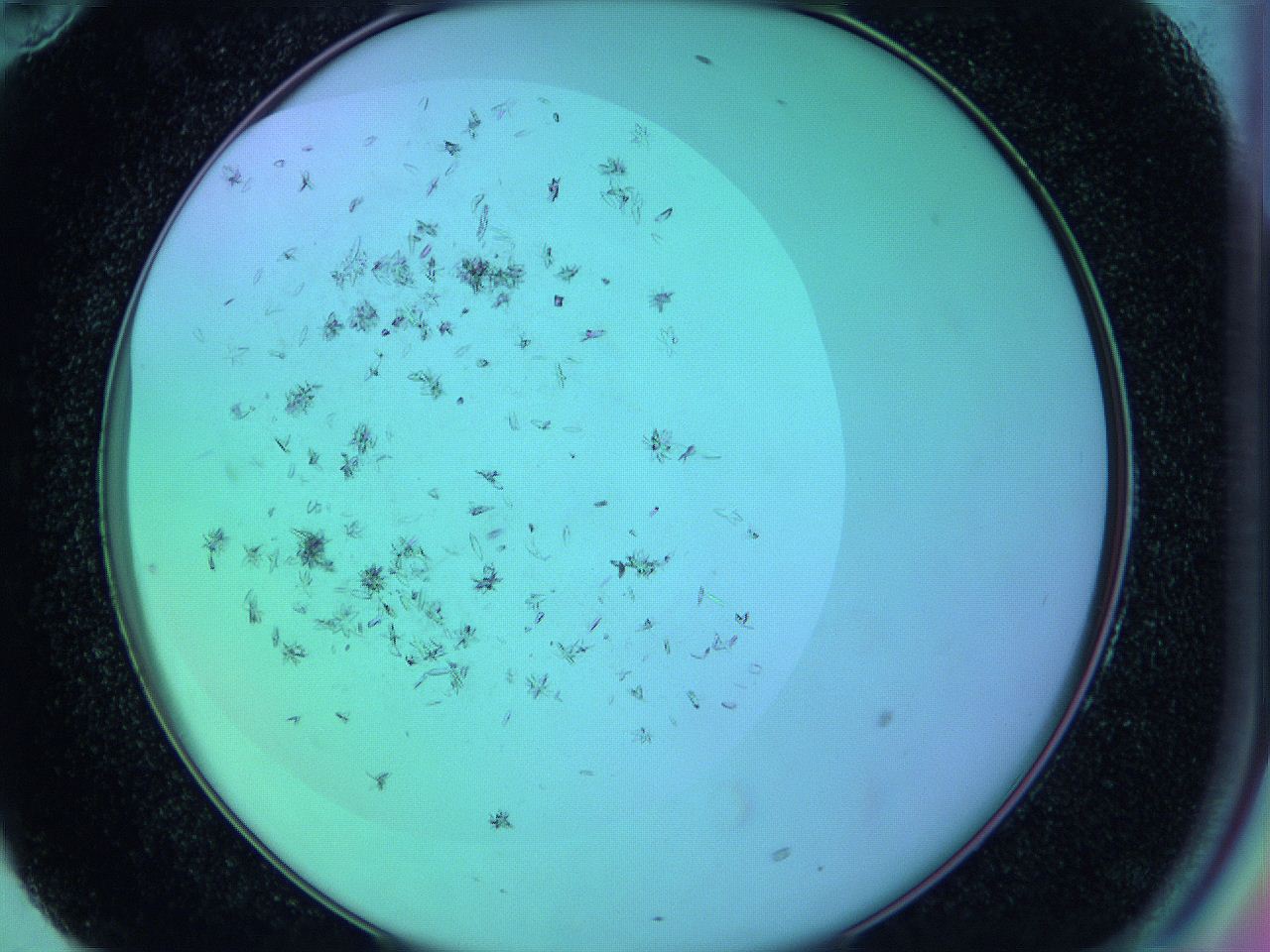 063y_F10_ImagerDefaults_9.jpg