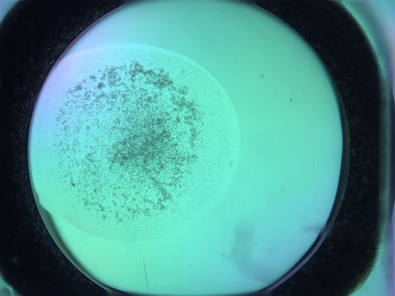 063y_F11_ImagerDefaults_3.jpg