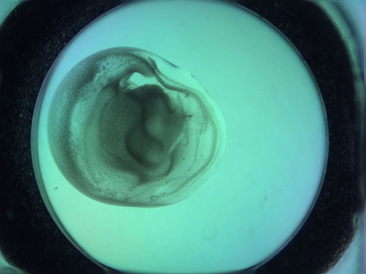 063y_F12_ImagerDefaults_3.jpg