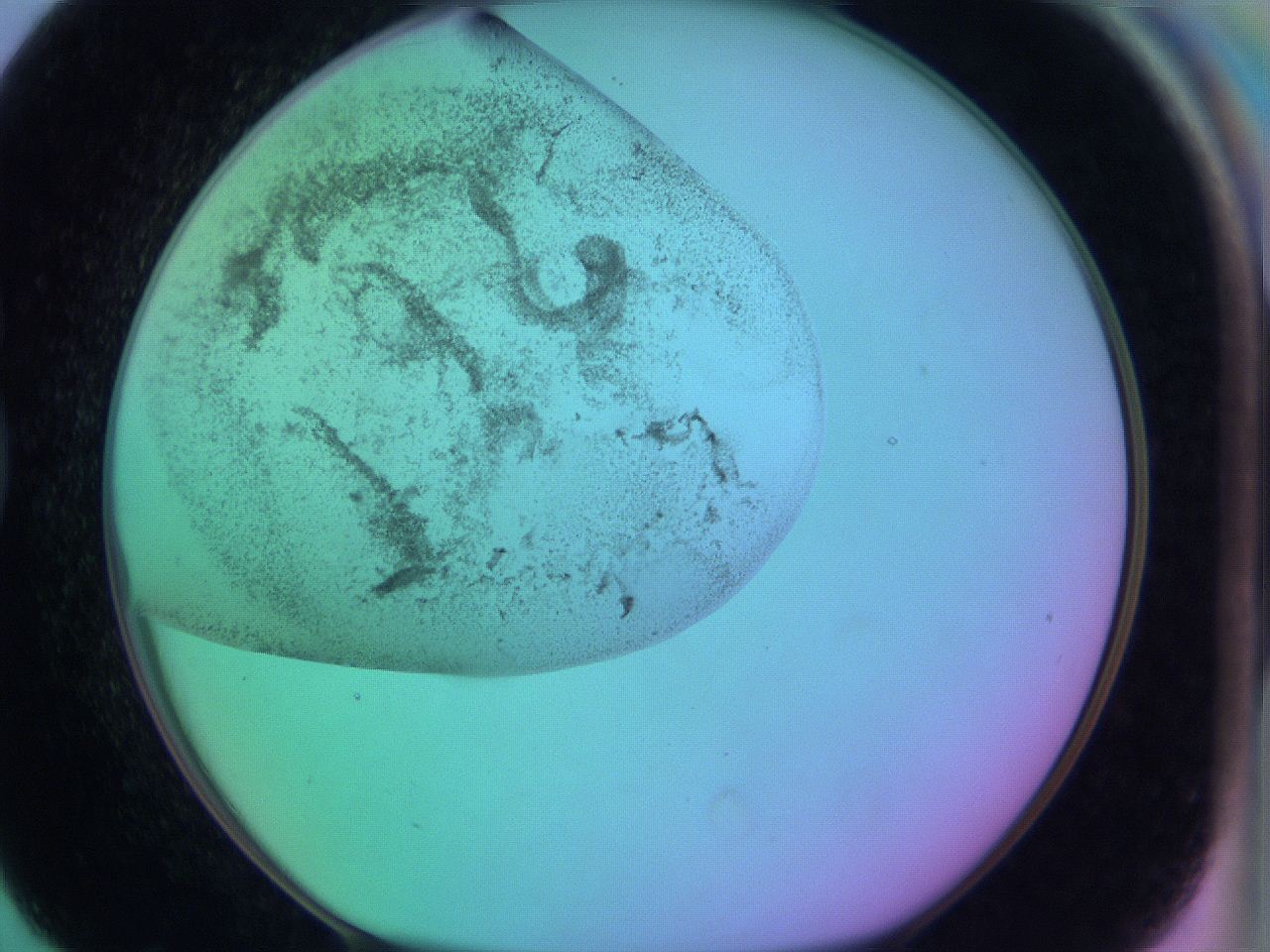 063y_G7_ImagerDefaults_3.jpg