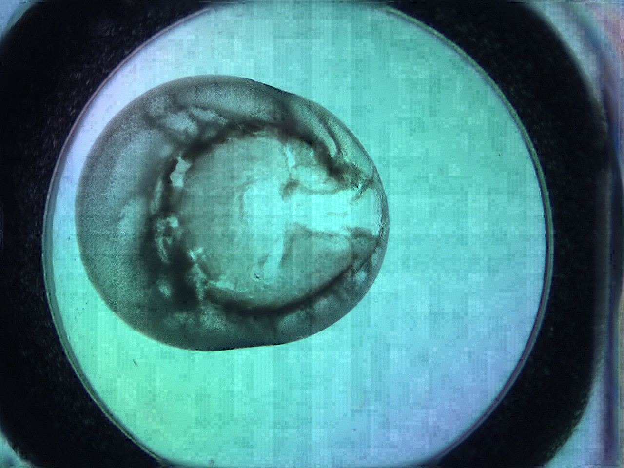063y_G11_ImagerDefaults_3.jpg