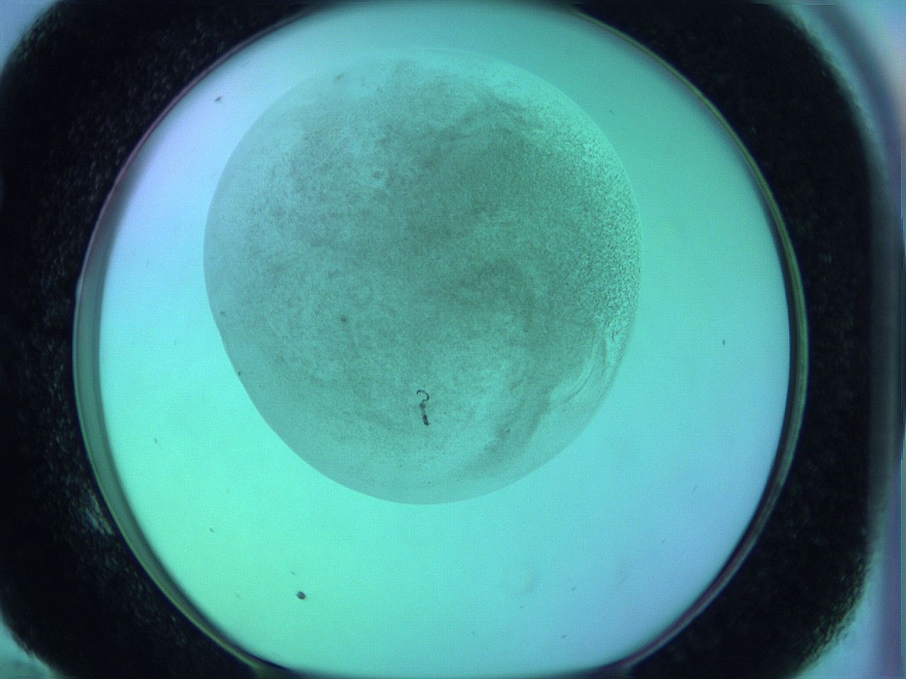 063y_E10_ImagerDefaults_3.jpg
