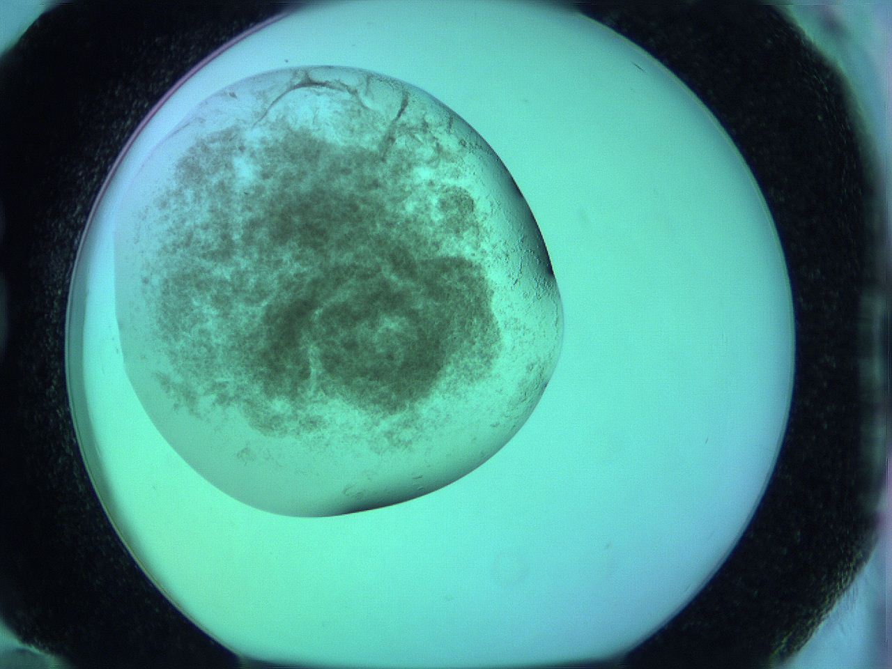 063y_G12_ImagerDefaults_3.jpg