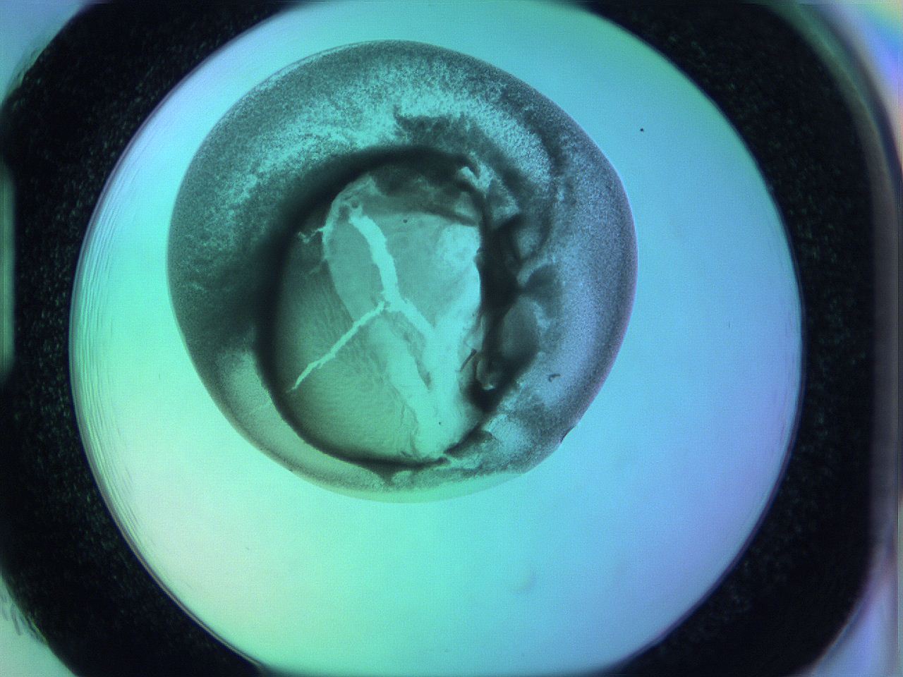 063y_H1_ImagerDefaults_3.jpg