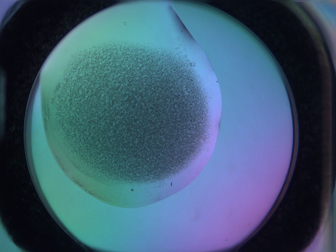 063y_H4_ImagerDefaults_3.jpg