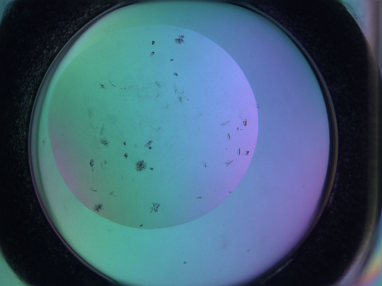 063y_H6_ImagerDefaults_9.jpg