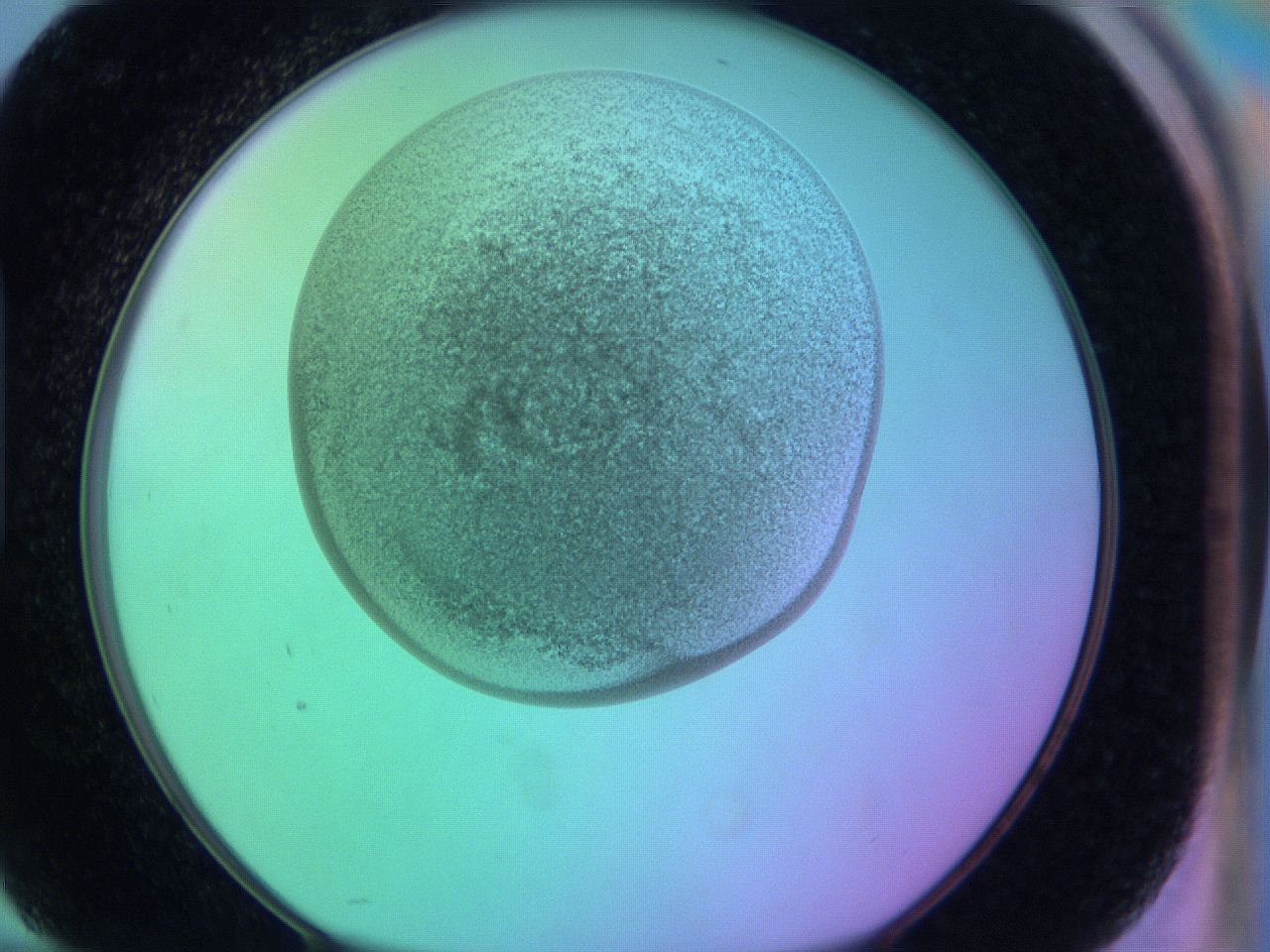 063y_H10_ImagerDefaults_3.jpg