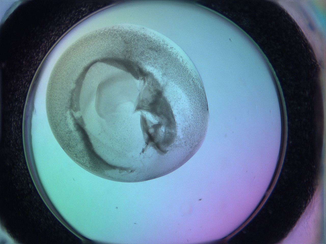 063y_H11_ImagerDefaults_3.jpg