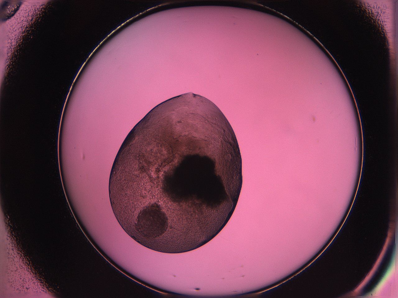 063z_B8_ImagerDefaults_3.jpg