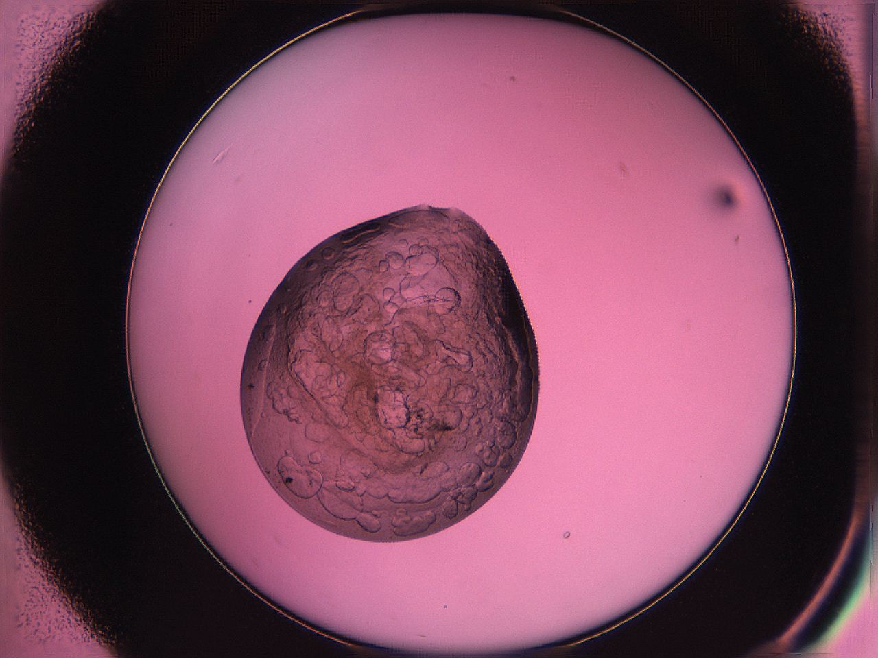063z_B7_ImagerDefaults_3.jpg