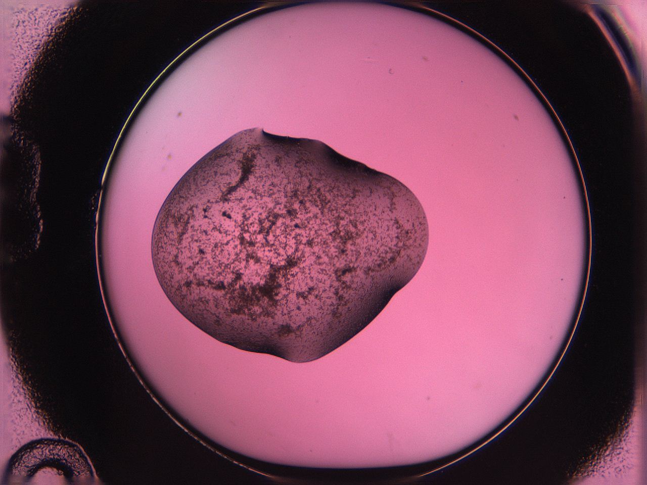 063z_B10_ImagerDefaults_3.jpg