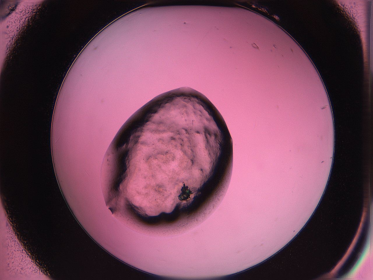 063z_B6_ImagerDefaults_3.jpg