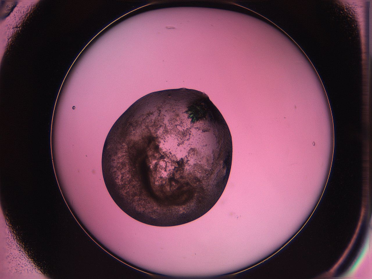 063z_B5_ImagerDefaults_3.jpg