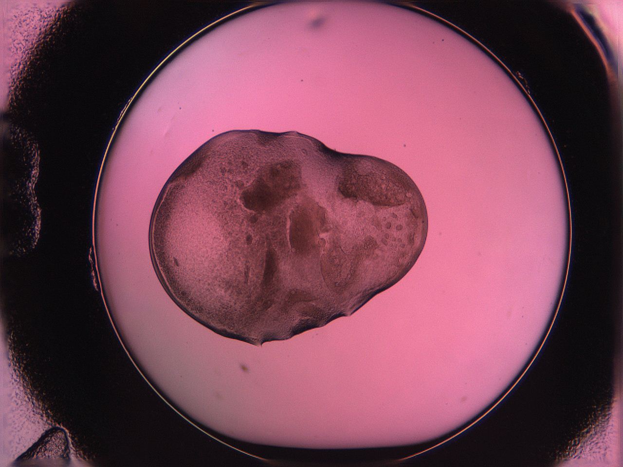 063z_B11_ImagerDefaults_3.jpg