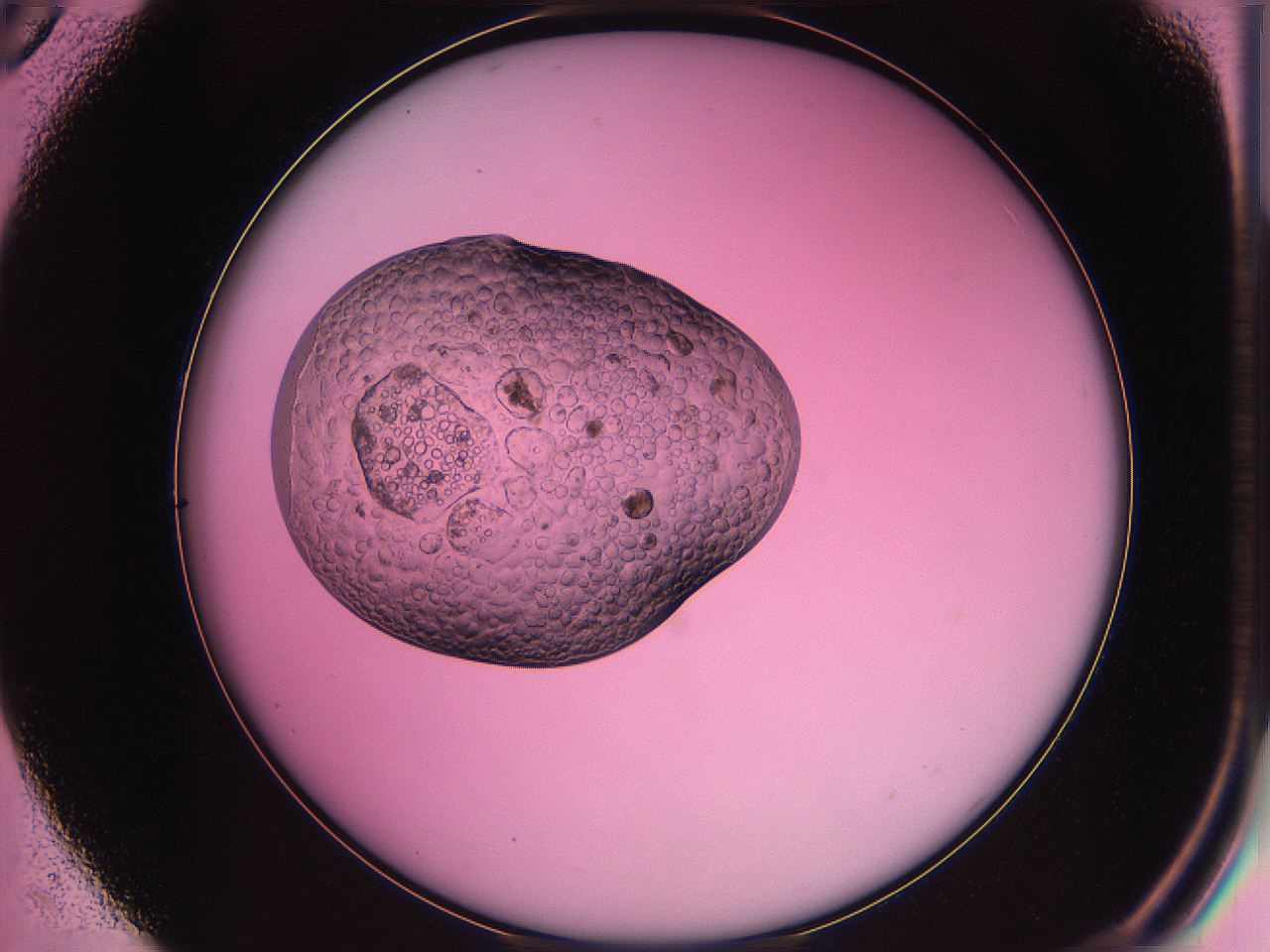 063z_C5_ImagerDefaults_2.jpg