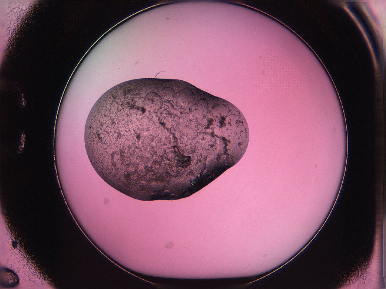 063z_C6_ImagerDefaults_3.jpg