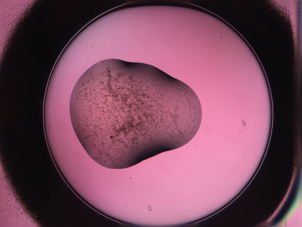 063z_C7_ImagerDefaults_3.jpg