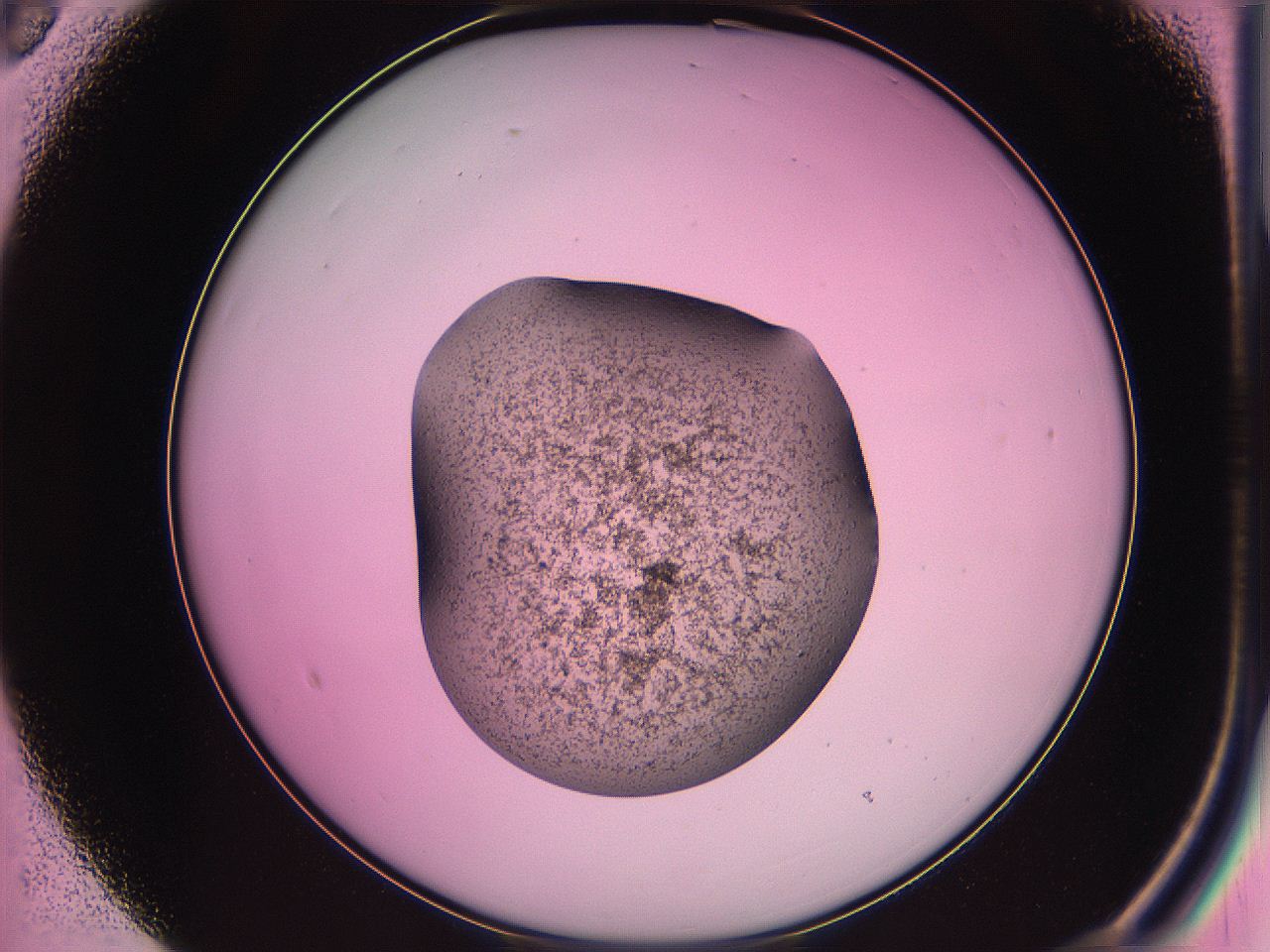 063z_B3_ImagerDefaults_3.jpg