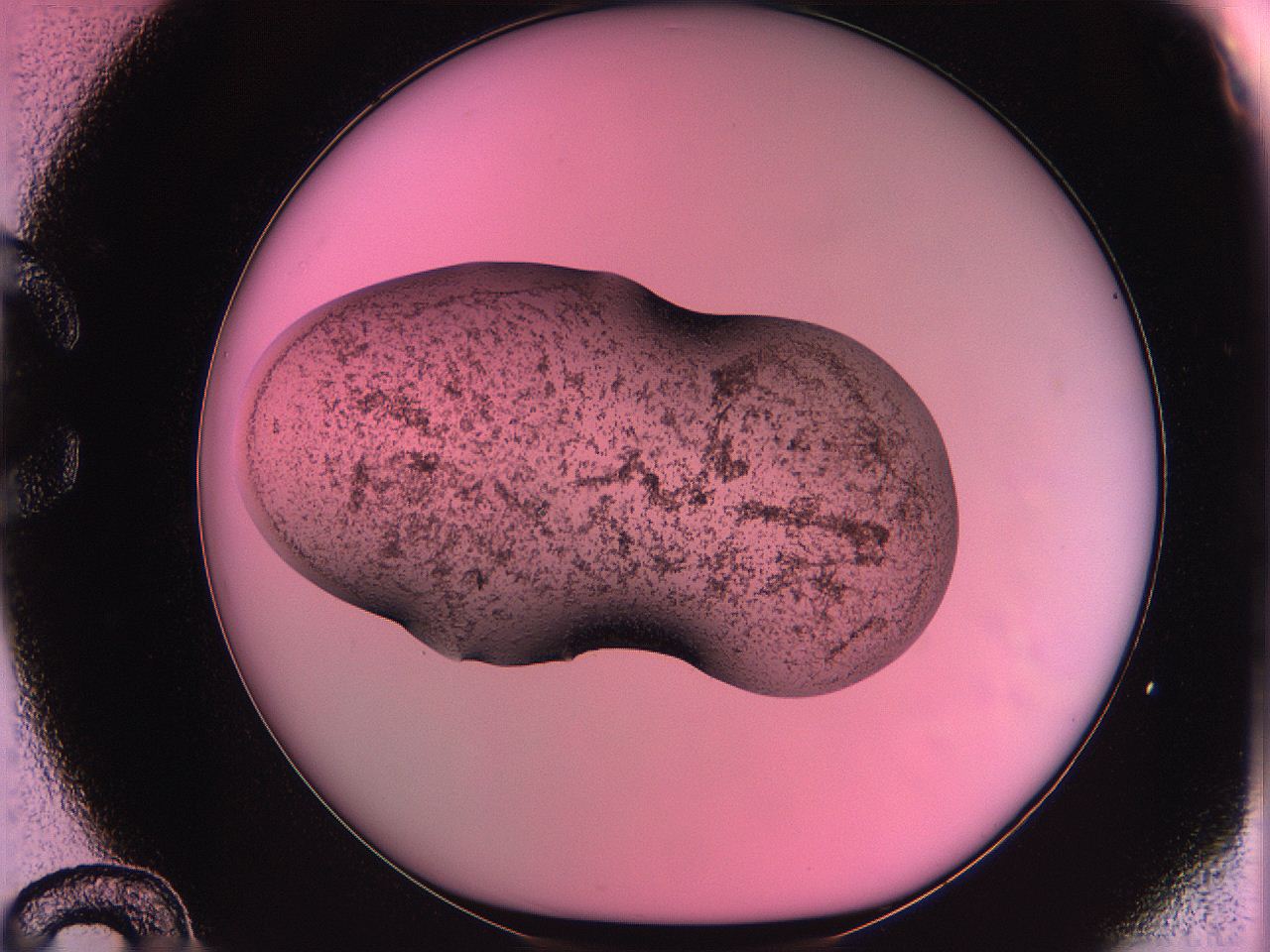 063z_C12_ImagerDefaults_3.jpg