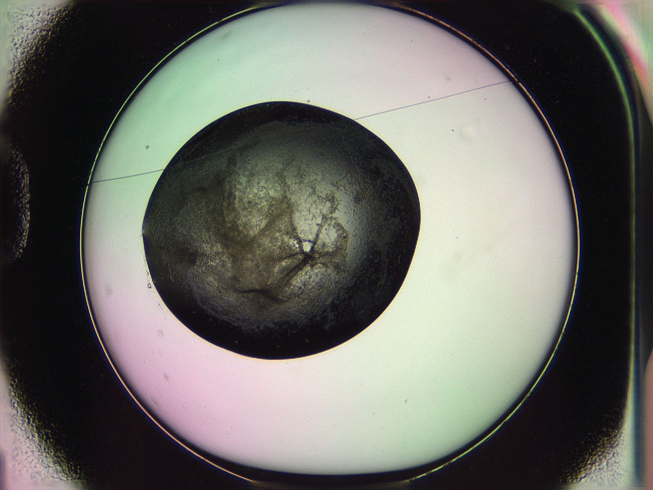 063z_D1_ImagerDefaults_3.jpg