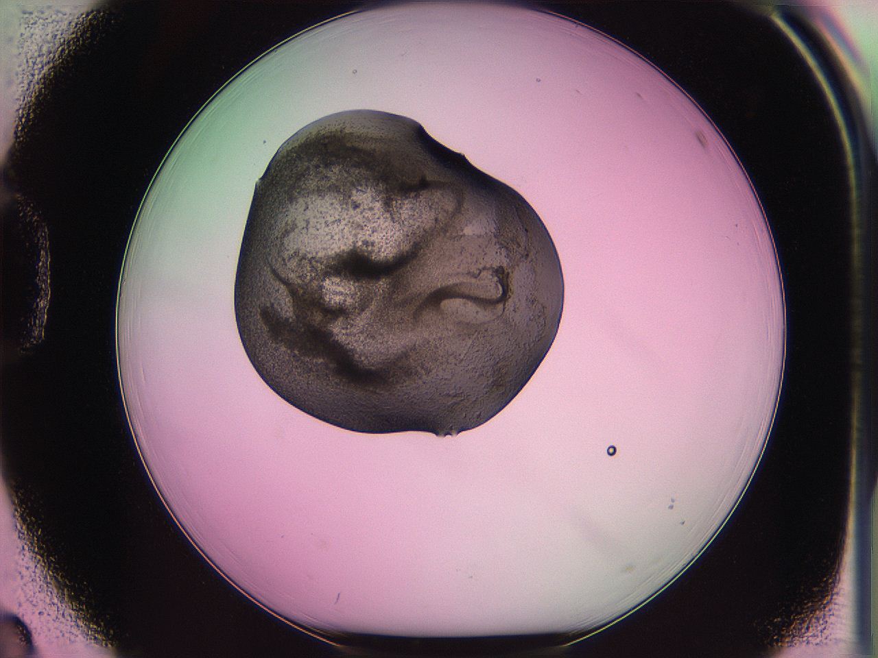 063z_D3_ImagerDefaults_3.jpg