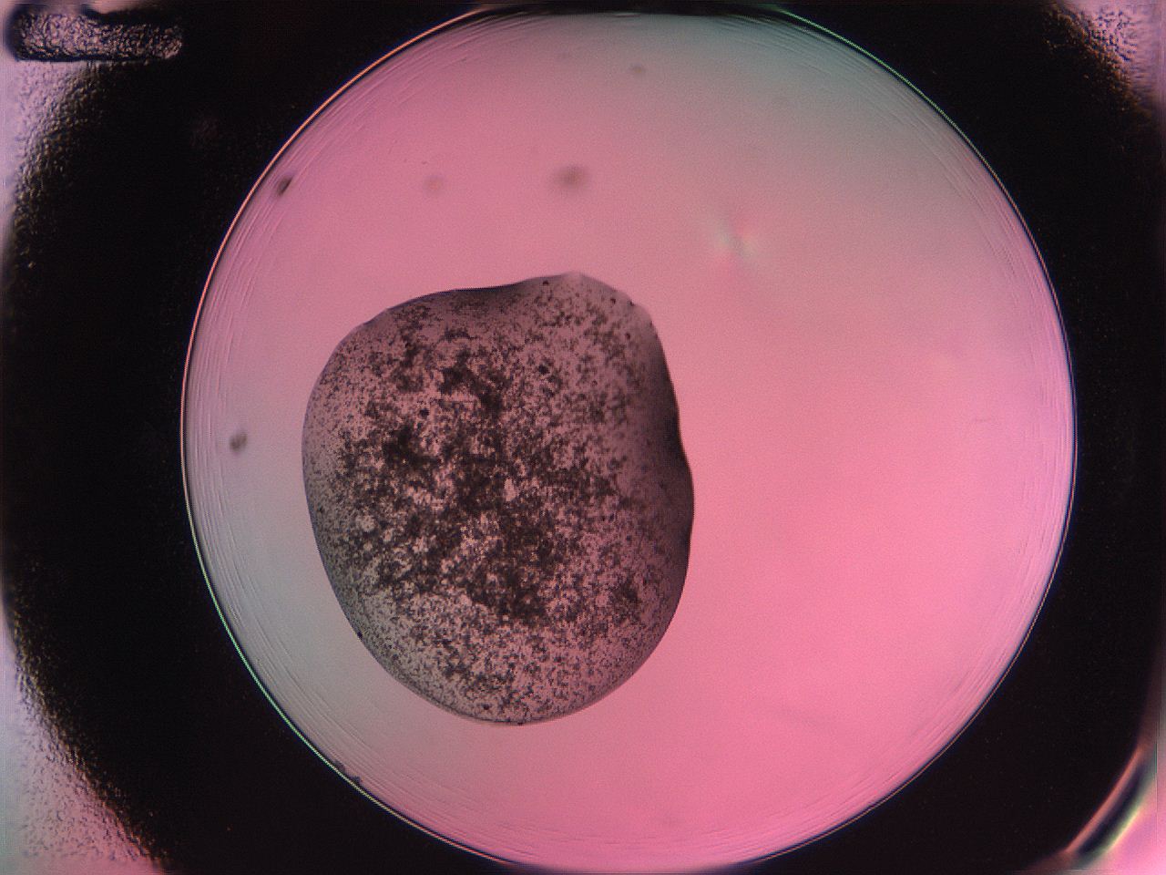 063z_A12_ImagerDefaults_3.jpg