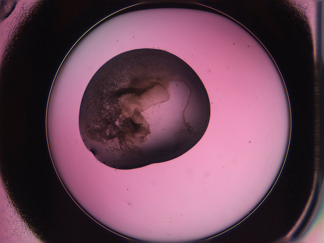 063z_D5_ImagerDefaults_3.jpg