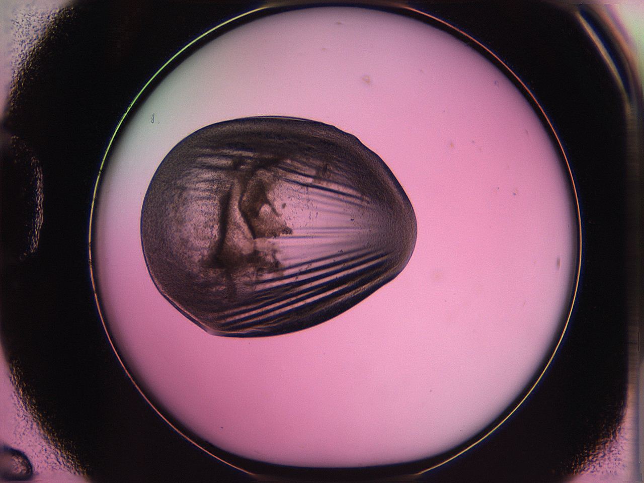 063z_D6_ImagerDefaults_3.jpg