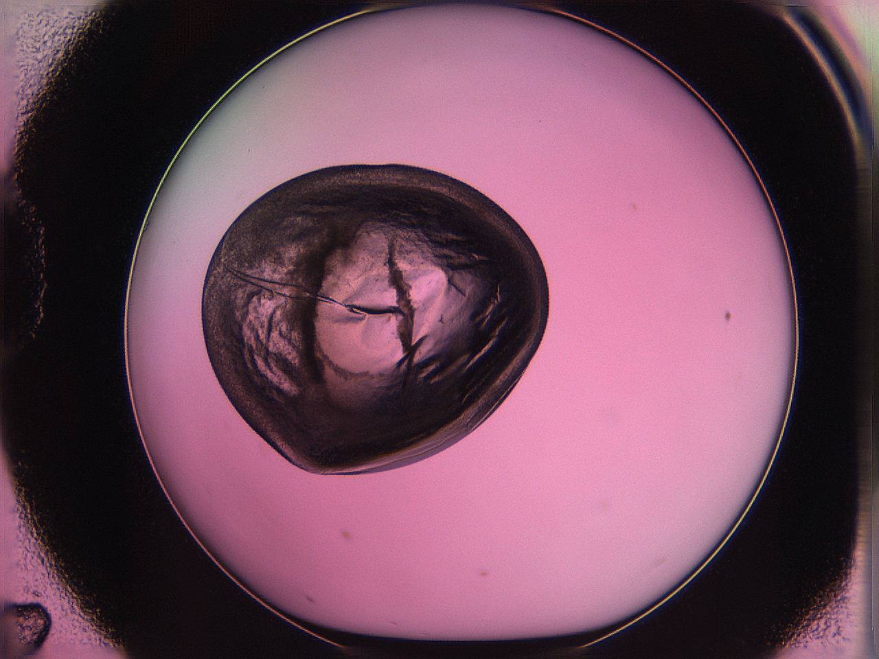 063z_D7_ImagerDefaults_3.jpg