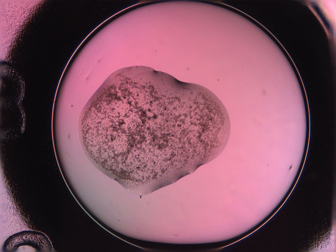 063z_B12_ImagerDefaults_3.jpg