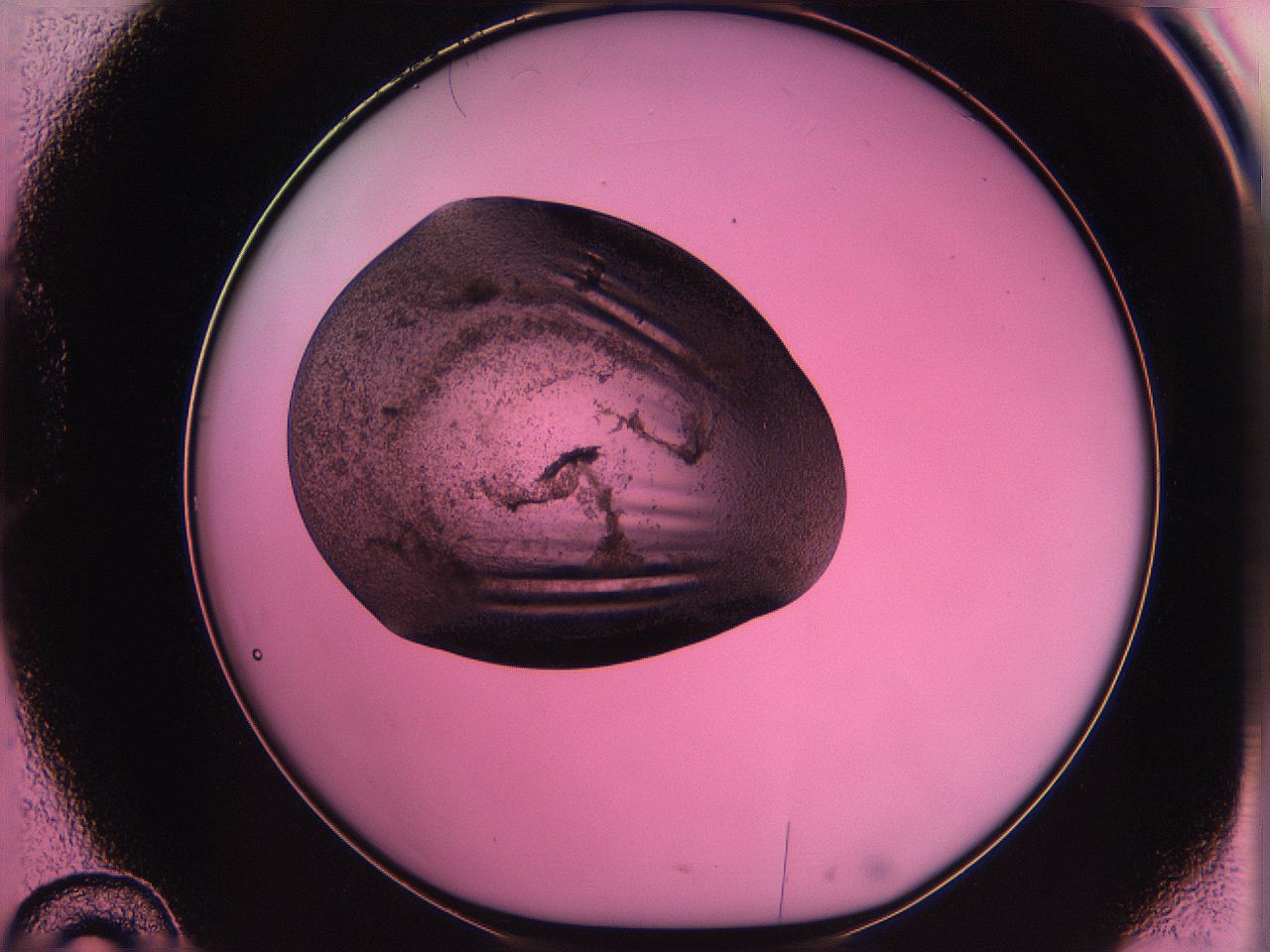 063z_D10_ImagerDefaults_3.jpg