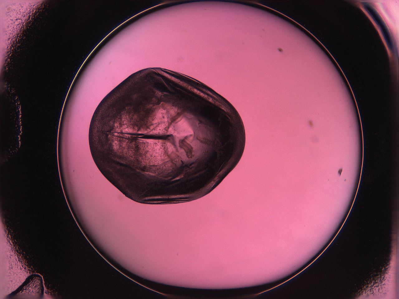 063z_D11_ImagerDefaults_3.jpg