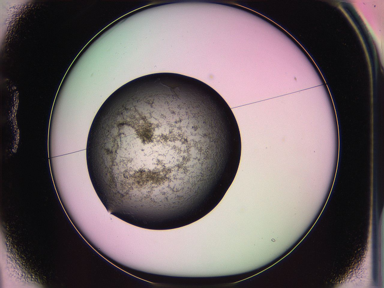 063z_B1_ImagerDefaults_3.jpg